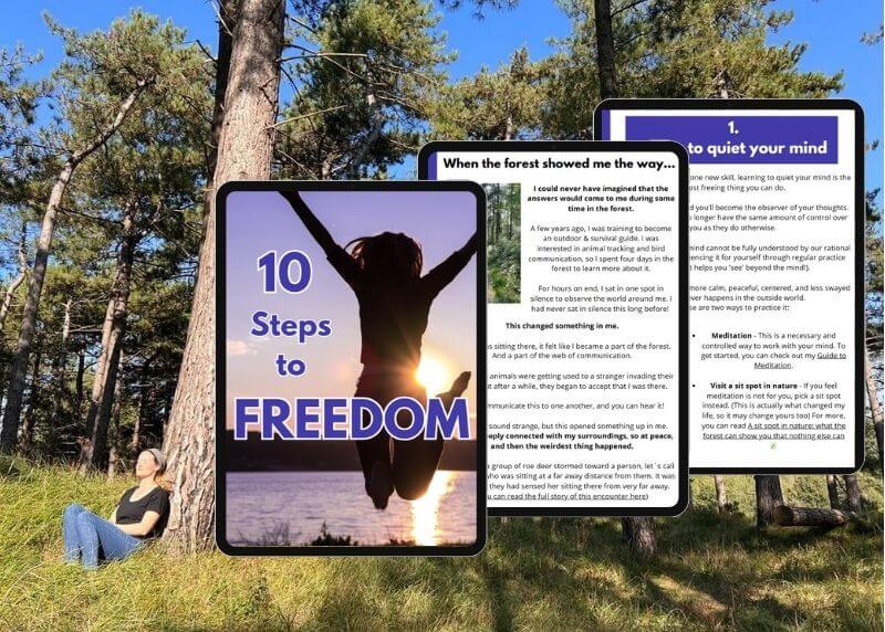 sitting in the forest - spiritual awakening story